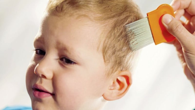 Once A Week, Take a Peek is a useful way of remembering to check for head lice in children 