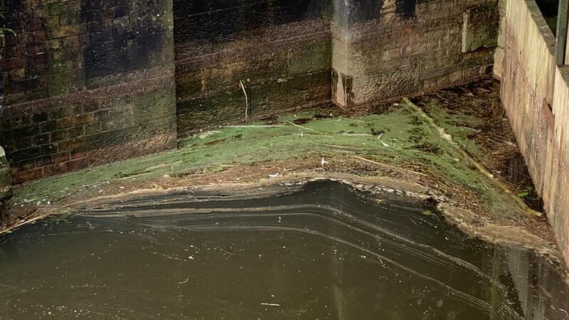 Blue Green Algae at Toome Canal