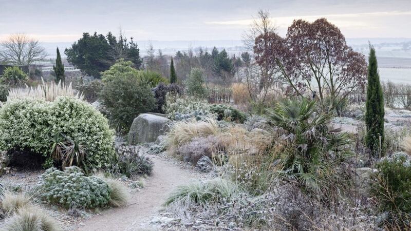The dry garden at RHS Hyde Hall 