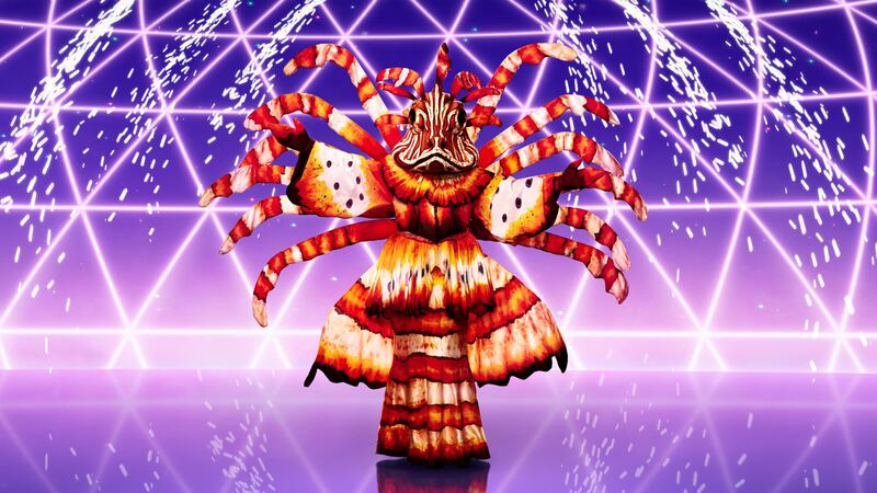 Lionfish found himself in the sing-off against fellow contestant Firework.