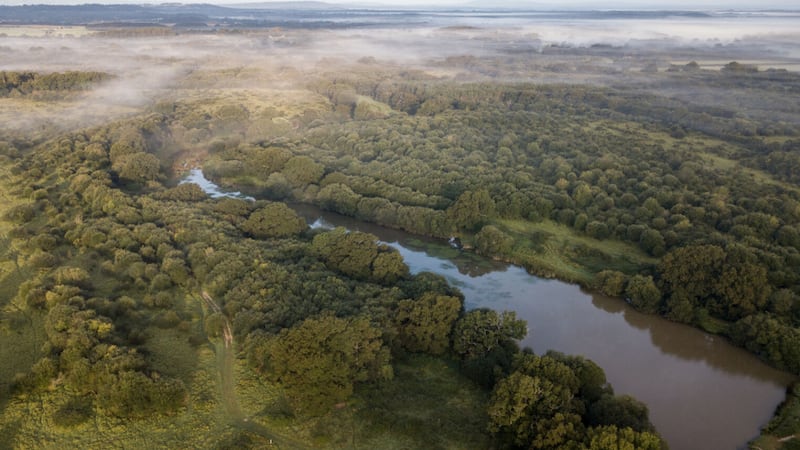 A drone image of the rewilded landscape at Knepp, West Sussex