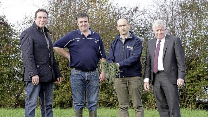 Lakeland Dairies has launched a dairy development programme for its milk suppliers in the north. It was launched on the farm of supplier Alan Irwin from Fintona (second left). Included (from left) are Colin Kelso, Lakeland Dairies vice-chairman, Niall McCarron, dairy development programme manager and Alo Duffy, Lakeland Dairies chairman. Photo: Jay McGaghran. 