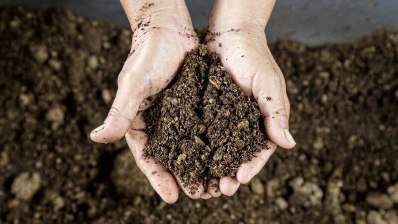 There&#39;s a growing appetite among gardeners for peat-free products 