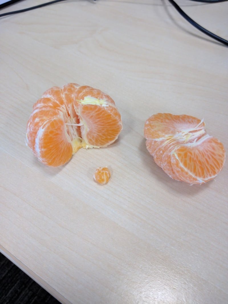 A miniature clementine in a bigger clementine