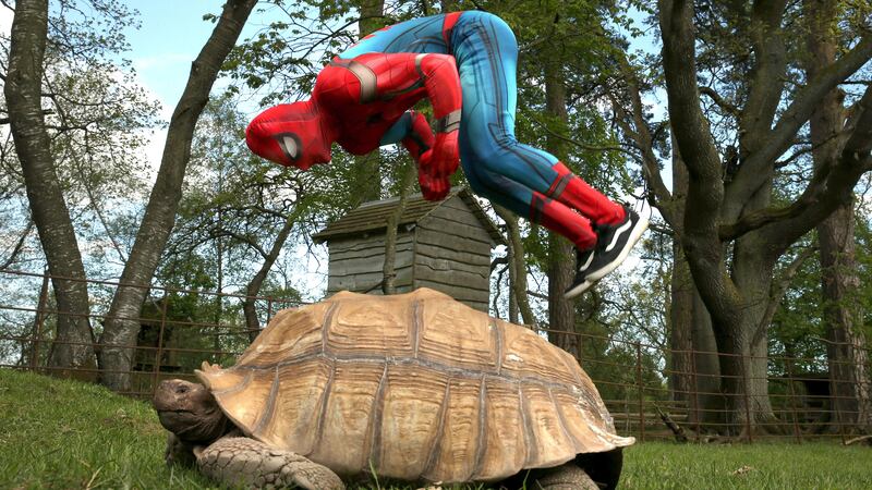 Spider-Man, Iron Man and Deadpool showed off their moves at Blair Drummond Safari Park.