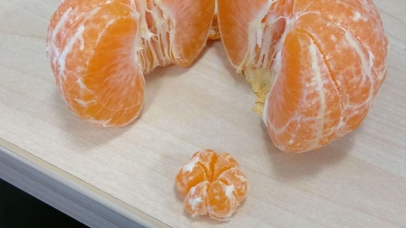 A Reddit user unpeeled his snack to discover a bonus clementine in the middle – two days running.
