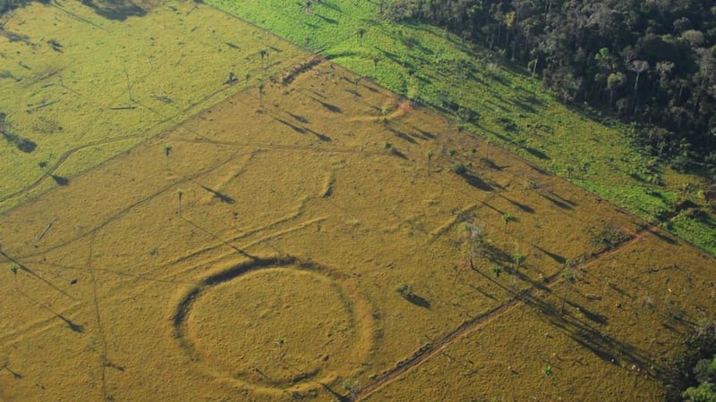 Mysterious Stonehenge-like 'geoglyphs' found in Amazon rainforest point to ancient human settlements