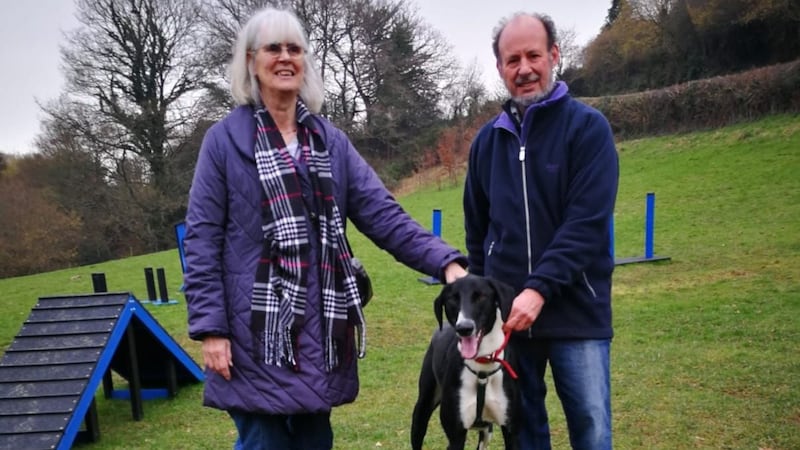 Hector the lurcher has been adopted by a dog-loving couple in Devon.