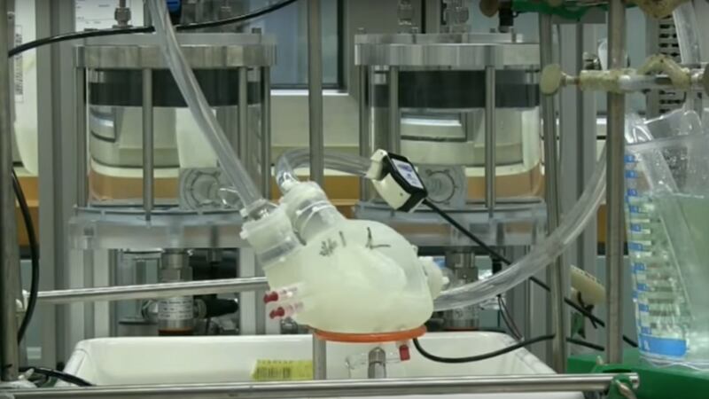 The innovation is made from a 3D printer and could act as a temporary organ for heart failure patients.