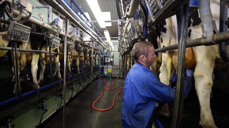 A farmer milks his herd amid what is being called a &#39;crisis&#39; for the dairy sector 