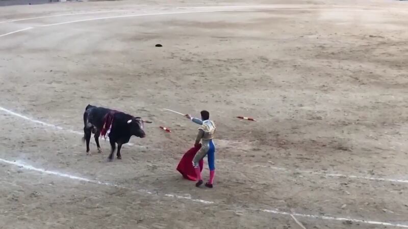 The young matador is still in hospital in a serious condition.