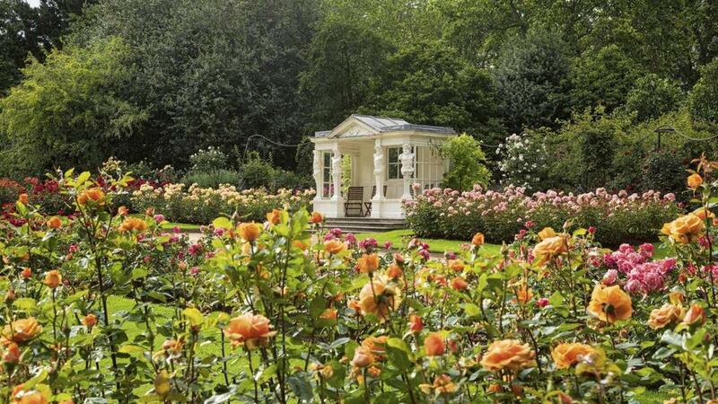 The Buckingham Palace garden is the subject of a new book.