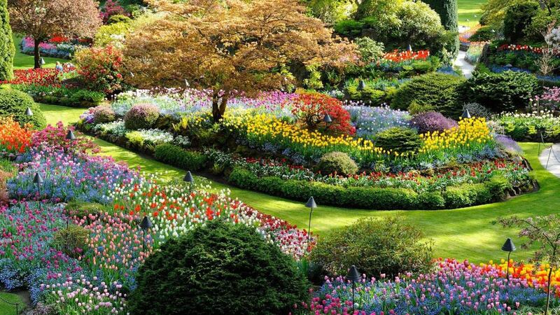 <b>BUTCHART GARDENS: </b>Much as the Bluffer would like to claim the above garden as his own, the Butchart Gardens is &ldquo;a must-see oasis, growing in Victoria, British Columbia for over 100 years.&rdquo;