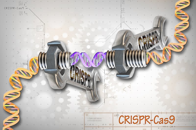 CRISPR-Cas9 genome editing.