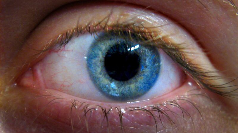 Eye scans processed by machine learning could be used to spot early signs of heart disease, according to the research.