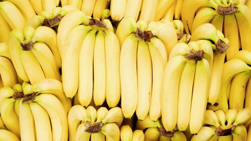 Bananas are a great source of energy 
