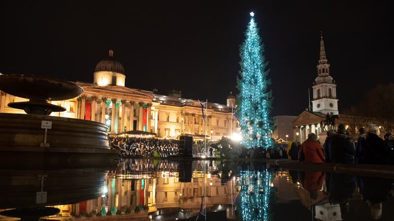 The tree, which had been labelled ‘anaemic’ on social media, was lit in a ceremony in central London.
