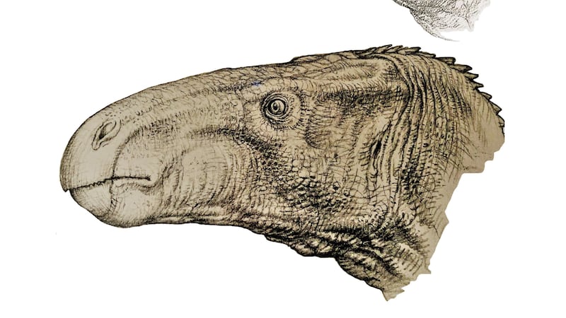 Jeremy Lockwood had set himself the task of cataloguing every iguanodon bone discovered on the Isle of Wight.