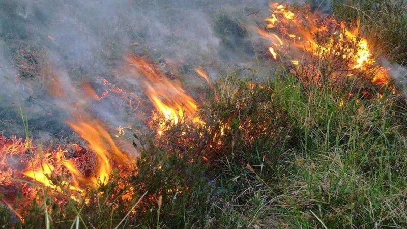 A gorse fire on Divis Mountain, west Belfast 