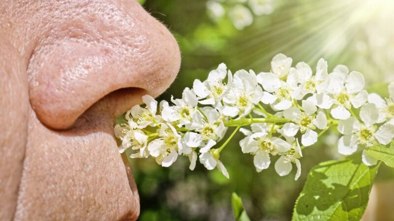 Researchers say smell identification tests should be part of doctors&rsquo; regular check-ups in later life 