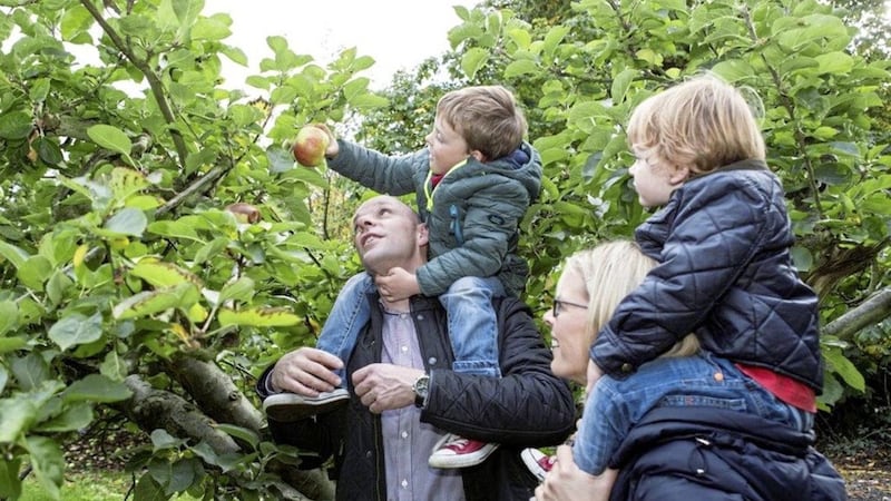 Apple Sundays will celebrate the fruit that has made Co Armagh famous 