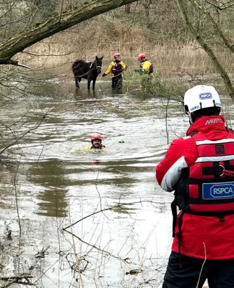 The RSPCA's specialist water rescue team swam across flood water (RSPCA/PA)