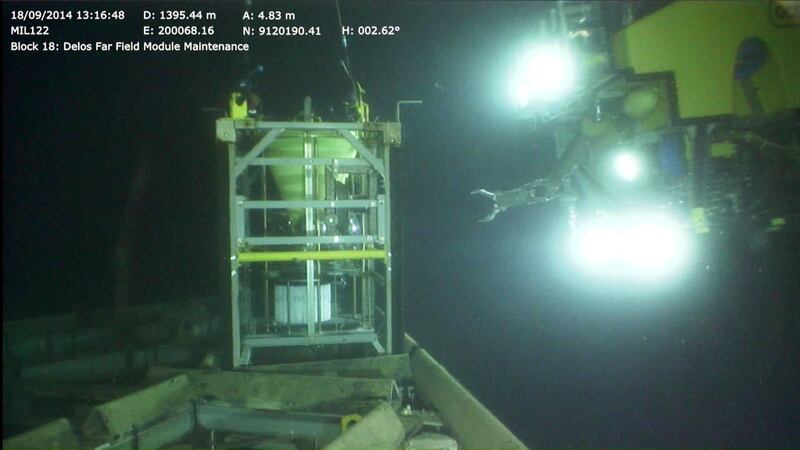 Researchers analysed seven years of photographic data from a depth of 1,400m (4,593ft) off west Africa.