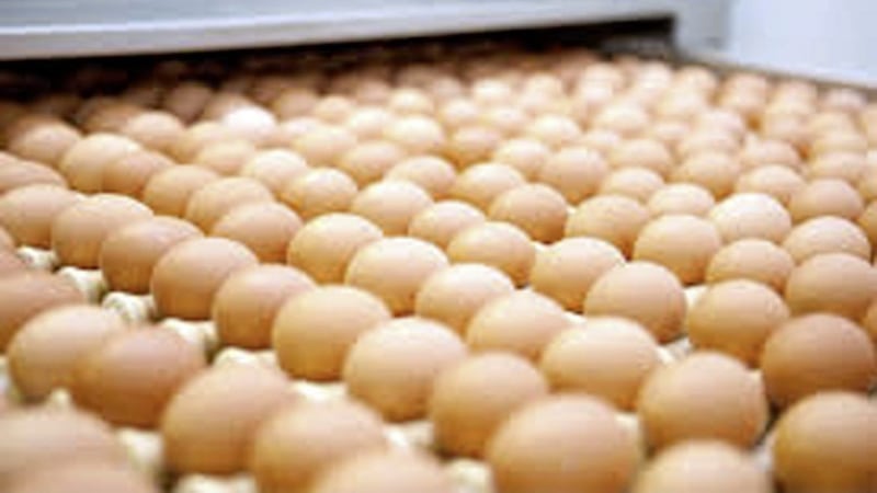 Ready Egg Products in Lisnaskea posted a turnover of &pound;73 million last year as its workforce has grown by 51 per cent since 2016 