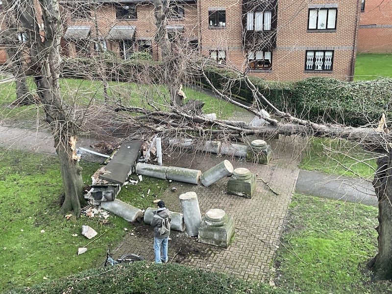 A tree was blown over by the wind in Tooting, south west London
