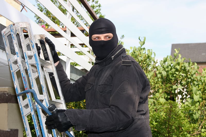 Garden thieves: how to stop them in their tracks