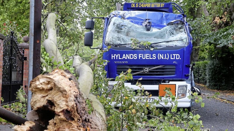 An oil delivery driver had was injured and had a luck escape when a large tree fell on his truck in Osborne Park in south Belfast Picture Mal McCann. 