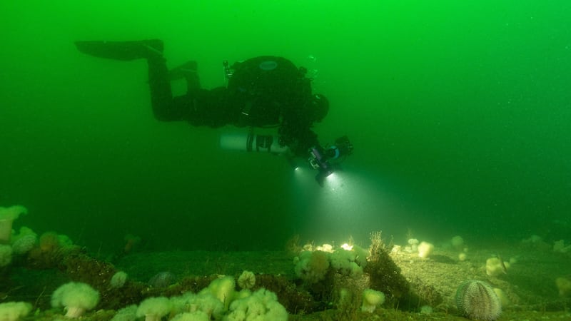 Divers use high-intensity lights and the latest camera equipment to map the wreck site (University of Dundee/PA)