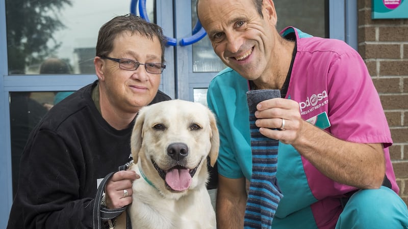 Rocky, a six-month-old puppy, underwent the life-saving surgery after repeatedly vomiting.