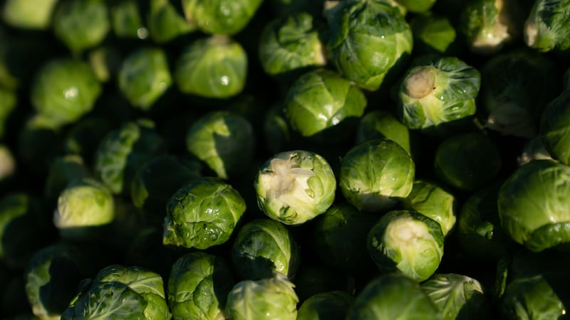 Brussels sprouts and other cruciferous vegetables may help ease lung infections, a study in mice suggests (PA)