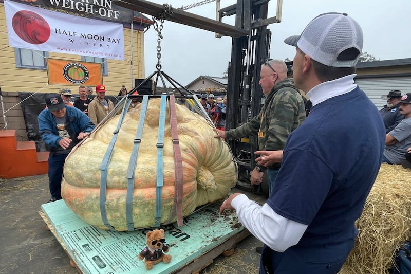 Travis Gienger, right, from Anoka, Minnesota, watches as his winning pumpkin is lifted and weighed at the 49th World Championship Pumpkin Weigh-Off in Half Moon Bay, California