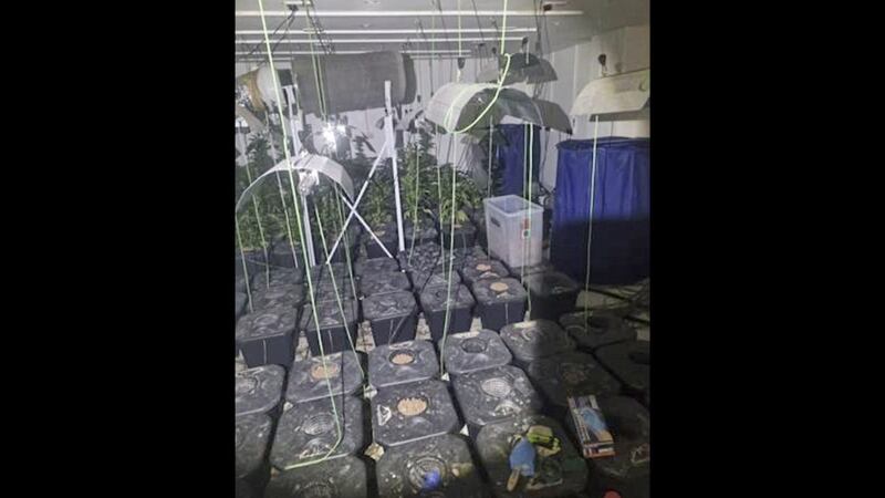 An alleged underground cannabis factory in south Armagh 