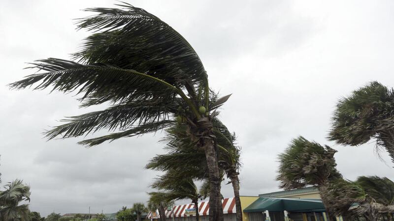 Palm trees sway in high gusts of wind in Vero Beach, Florida. Picture by Lynne Sladky, Associated Press 