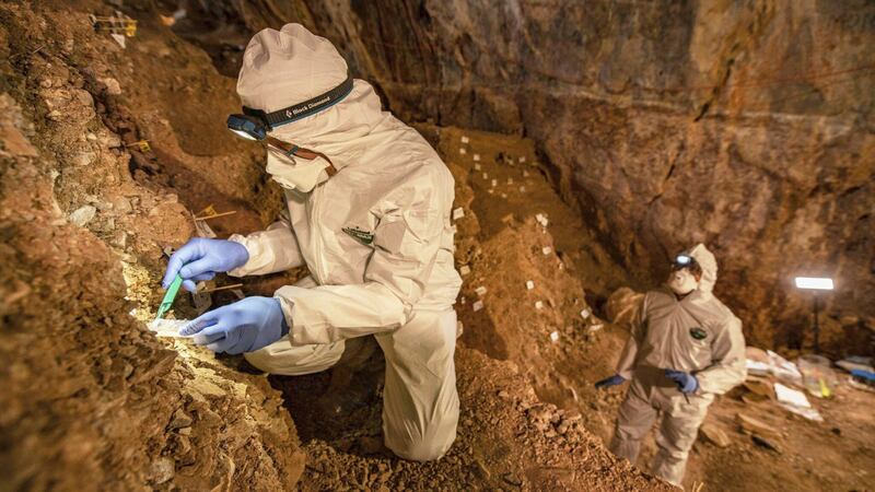 Scientists reported on artefacts found in a mountain cave in the state of Zacatecas in north-central Mexico.