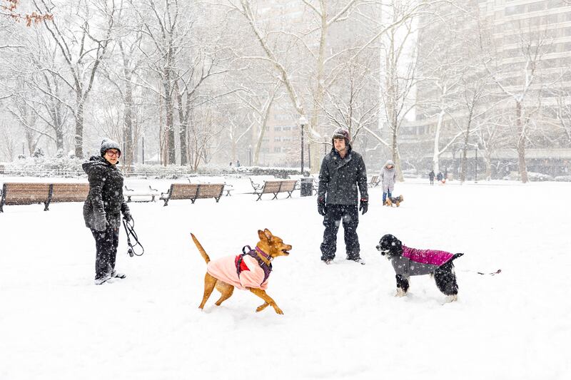 The snowy conditions are expected to last until at least Sunday (Tyger Williams/The Philadelphia Inquirer via AP)