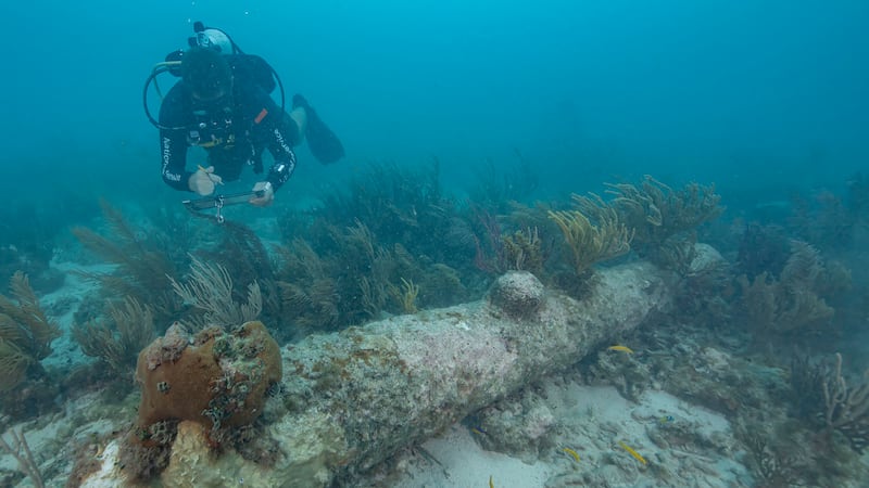 A diver examines one of five coral-encrusted cannons (Brett Seymour/National Park Service via AP)