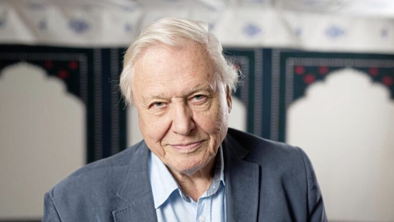 David Attenborough, who has been urged to swap Planet Earth for the political front benches after he came top in a poll to find Britain&#39;s favourite celebrity prime minister 