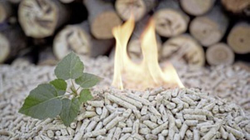 There were two versions of minutes of a meeting on RHI cost controls, an inquiry has heard 