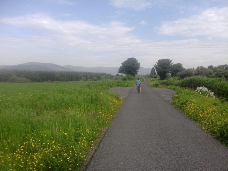 The Greenway on a sunny day in June, the Comeragh Mountains in the distance