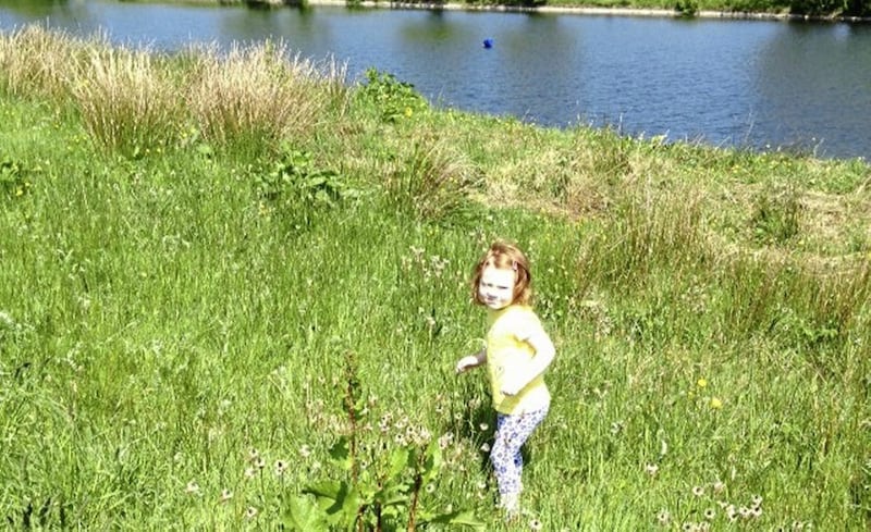 Brendan Crossan's daughter Rosa chasing butterflies in Ligoniel