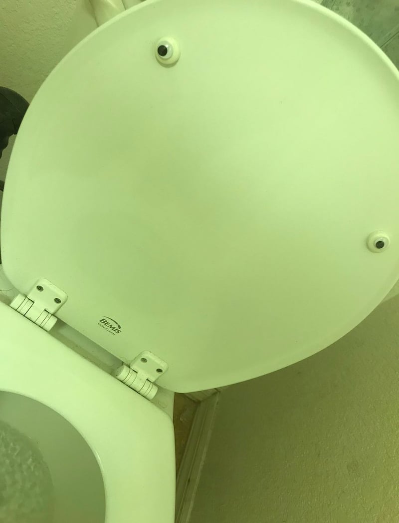 The toilet with googly eyes