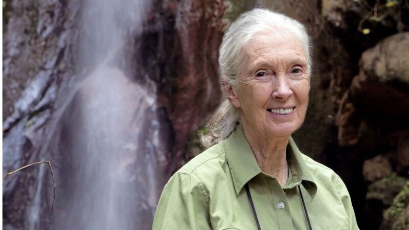 World-renowned ethologist and activist Dr Jane Goodall will address the IoD NI Women&#39;s Leadership Conference in March 