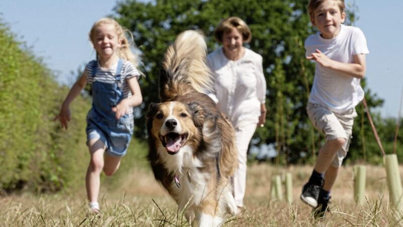 Undated Handout Photo of a family running with a dog. See PA Feature FAMILY Expert Dogs. Picture credit should read: PA Photo/Dogs Trust. WARNING: This picture must only be used to accompany PA Feature FAMILY Expert Dogs. 