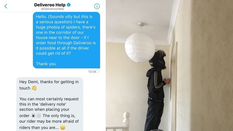 A giant spider needed moving and the Deliveroo driver was there for this arachnophobic customer.