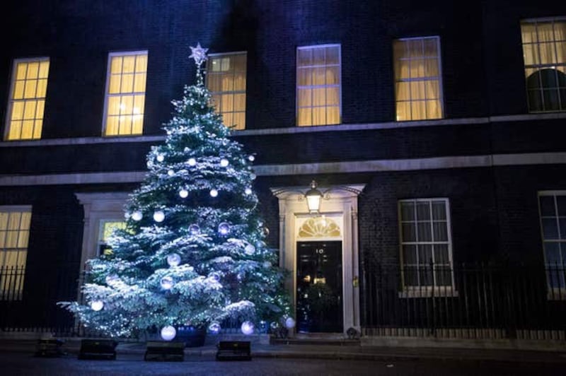 Downing Street Christmas tree