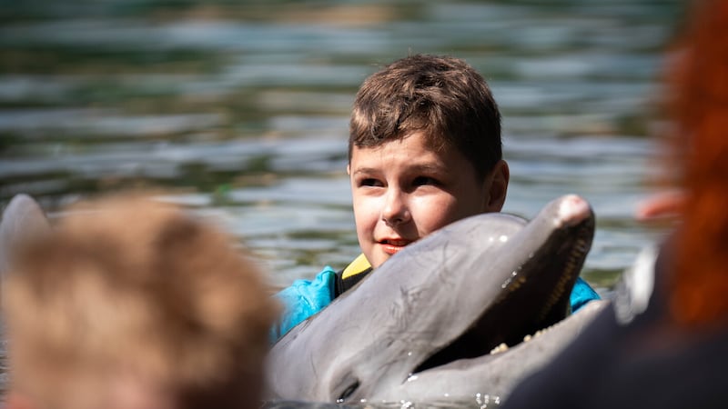 James Copeland swims with a dolphin during the Dreamflight visit to Discovery Cove in Orlando, Florida.
